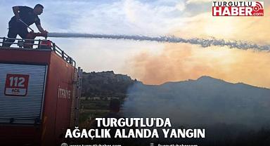 Turgutlu'da ağaçlık alanda yangın