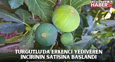 Turgutlu'da erkenci yediveren incirinin satışına başlandı