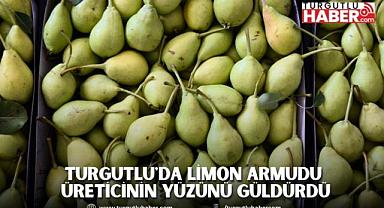 Turgutlu'da Limon Armudu üreticinin yüzünü güldürdü