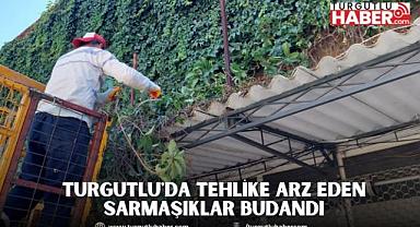 Turgutlu'da Tehlike Arz Eden Sarmaşıklar Budandı