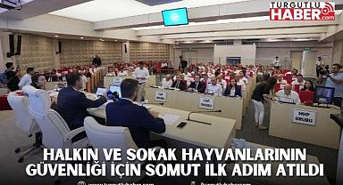 Halkın ve Sokak Hayvanlarının Güvenliği İçin Somut İlk Adım Atıldı