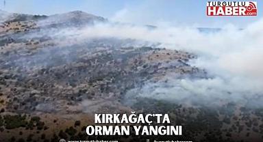 Kırkağaç'ta Orman Yangını