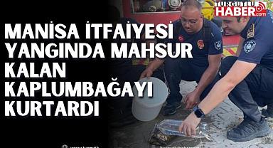 Manisa İtfaiyesi Yangında mahsur kalan kaplumbağayı kurtardı