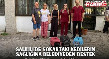 Salihli'de Sokaktaki Kedilerin Sağlığına Belediyeden Destek
