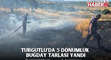 Turgutlu'da 5 dönümlük buğday tarlası yandı