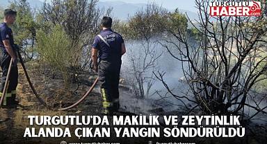 Turgutlu'da Makilik ve Zeytinlik alanda çıkan yangın söndürüldü