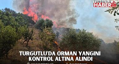 Turgutlu'da Orman Yangını Kontrol Altına Alındı