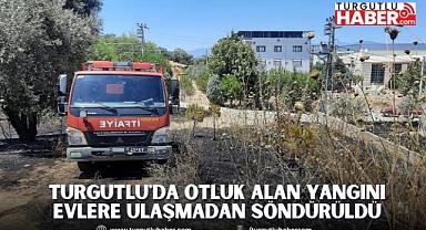 Turgutlu'da otluk alan yangını evlere ulaşmadan söndürüldü