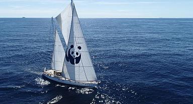 Blue Panda, Mavi Ormanlar için Türkiye'ye Yelken Açtı