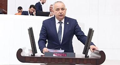 ‘Bu gidişle zeytin de domates gibi dalında kalacak!’