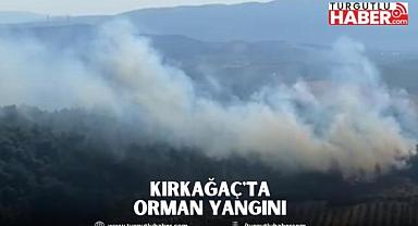 Kırkağaç'ta orman yangını