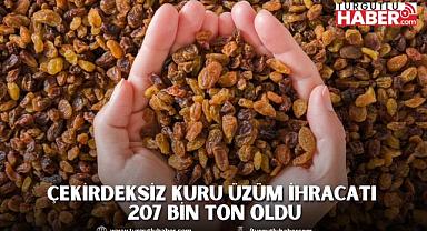 Çekirdeksiz kuru üzüm ihracatı 207 bin ton oldu