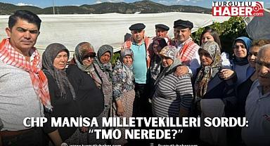 CHP MANİSA MİLLETVEKİLLERİ SORDU: “TMO NEREDE?”