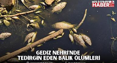 Gediz Nehri'nde tedirgin eden balık ölümleri