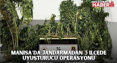 Manisa’da jandarmadan 3 ilçede Uyuşturucu Operasyonu