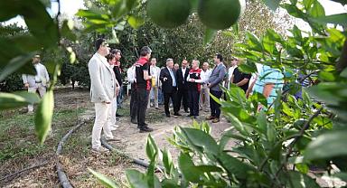 “Akdeniz Meyve Sineği İle Mücadelede Biyoteknik Yöntemlerin Yaygınlaştırılması Projesi”