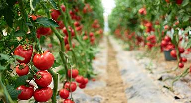 EİB’den tarım ürünleri ihracatı 7,5 milyar doları aştı