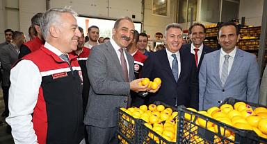 Satsuma mandalina yüklü TIR’lar ihracata yolcu edildi