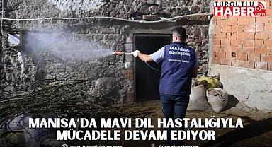 Büyükşehir Ekipleri Mavi Dil Hastalığıyla Mücadele Kapsamında 111 Mahalleyi İlaçladı