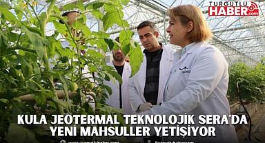 Kula Jeotermal Teknolojik Sera'da Yeni Mahsuller Yetişiyor