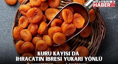 Kuru kayısı da ihracatın ibresi yukarı yönlü