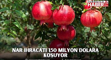 Nar ihracatı 150 milyon dolara koşuyor