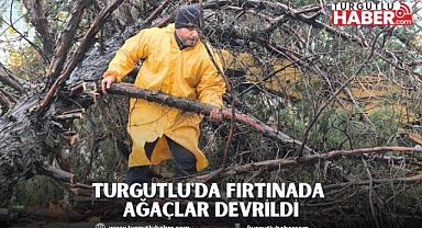 Turgutlu'da fırtınada ağaçlar devrildi