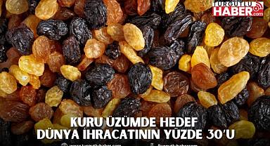 Türkiye, Dünya Kuru Üzüm İhracatının Yüzde 30’unu Tek Başına Yapmayı Hedefliyor