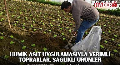 Hümik Asit Uygulamasıyla Verimli Topraklar, Sağlıklı Ürünler