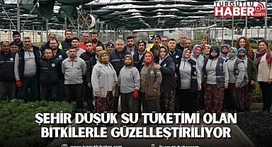 Şehir Düşük Su Tüketimi Olan Bitkilerle Güzelleştiriliyor