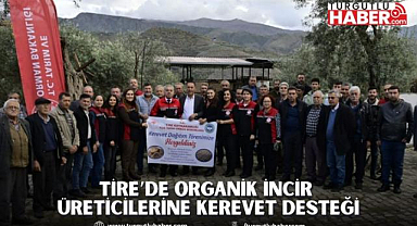 Tire'de Organik İncir Üreticilerine Kerevet Desteği