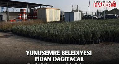 YUNUSEMRE BELEDİYESİ FİDAN DAĞITACAK