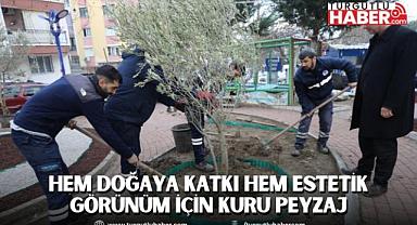 HEM DOĞAYA KATKI HEM ESTETİK GÖRÜNÜM İÇİN KURU PEYZAJ