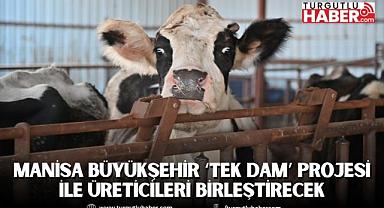 Manisa Büyükşehir ‘Tek Dam’ Projesi İle Üreticileri Birleştirecek