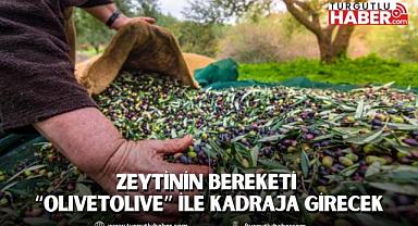 Zeytinin bereketi “OLIVEtoLIVE” ile kadraja girecek