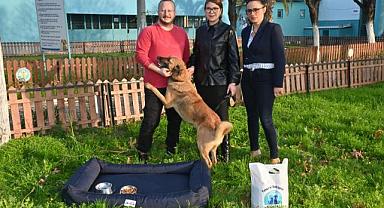 Büyükşehir’den hayvan sahiplenmeye teşvik kampanyası 