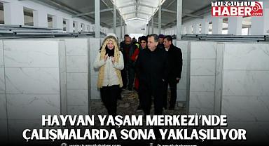 HAYVAN YAŞAM MERKEZİ’NDE ÇALIŞMALARDA SONA YAKLAŞILIYOR