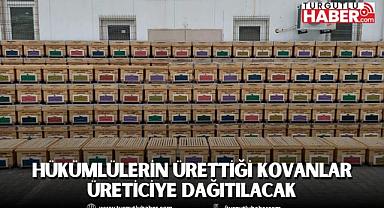 HÜKÜMLÜLERİN ÜRETTİĞİ KOVANLAR ÜRETİCİYE DAĞITILACAK