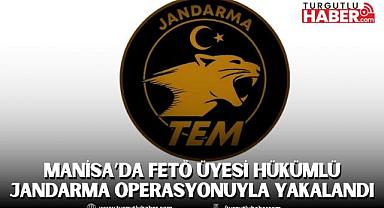 Manisa’da FETÖ Üyesi Hükümlü Jandarma Operasyonuyla Yakalandı
