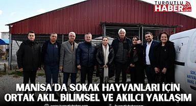 Manisa’da Sokak Hayvanları için Ortak Akıl, Bilimsel ve Akılcı Yaklaşım