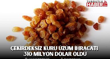 Çekirdeksiz kuru üzüm ihracatı 310 milyon dolar oldu