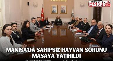 Manisa'da Sahipsiz Hayvan Sorunu Masaya Yatırıldı