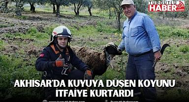 Akhisar'da Kuyuya düşen koyunu itfaiye kurtardı