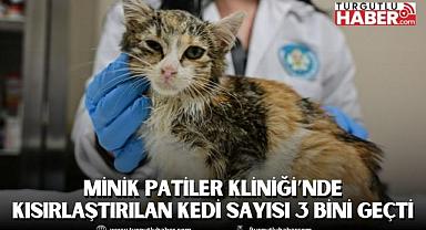 Minik Patiler Kliniği’nde Kısırlaştırılan Kedi Sayısı 3 Bini Geçti