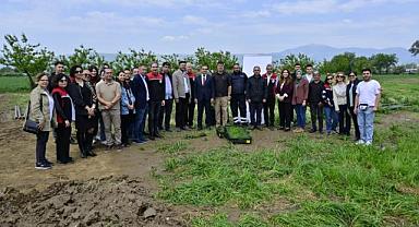 17 BİN KUŞKONMAZ FİDESİ ÜRETİCİLERE TESLİM EDİLDİ