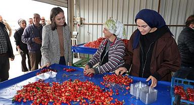 BAŞKAN DURBAY KİRAZ ÜRETİCİ VE TÜCCARLARIYLA BULUŞTU