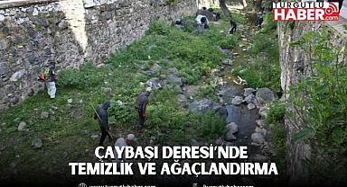 Çaybaşı Deresi’nde temizlik ve ağaçlandırma
