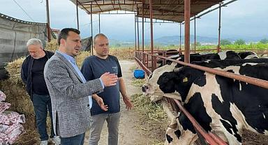 CHP'li Başevirgen, Kurbanlık Satmaya Çalışan Besicileri Dinledi