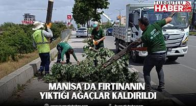 Manisa’da Fırtınanın Yıktığı Ağaçlar Kaldırıldı