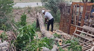 Manisa’da kuvvetli rüzgar ağaçları devirdi, belediye ekipleri anında müdahale etti